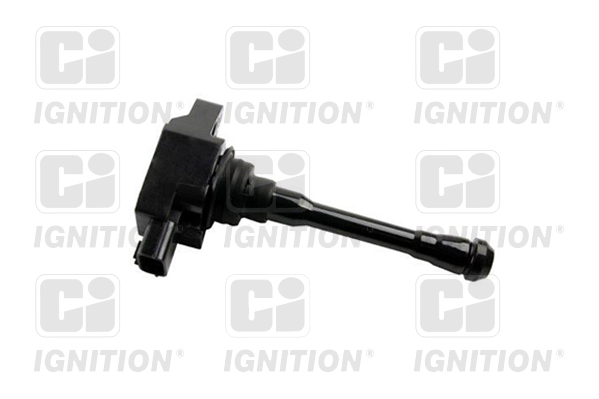 CI XIC8645