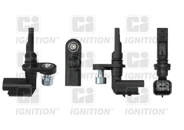 CI XABS1305
