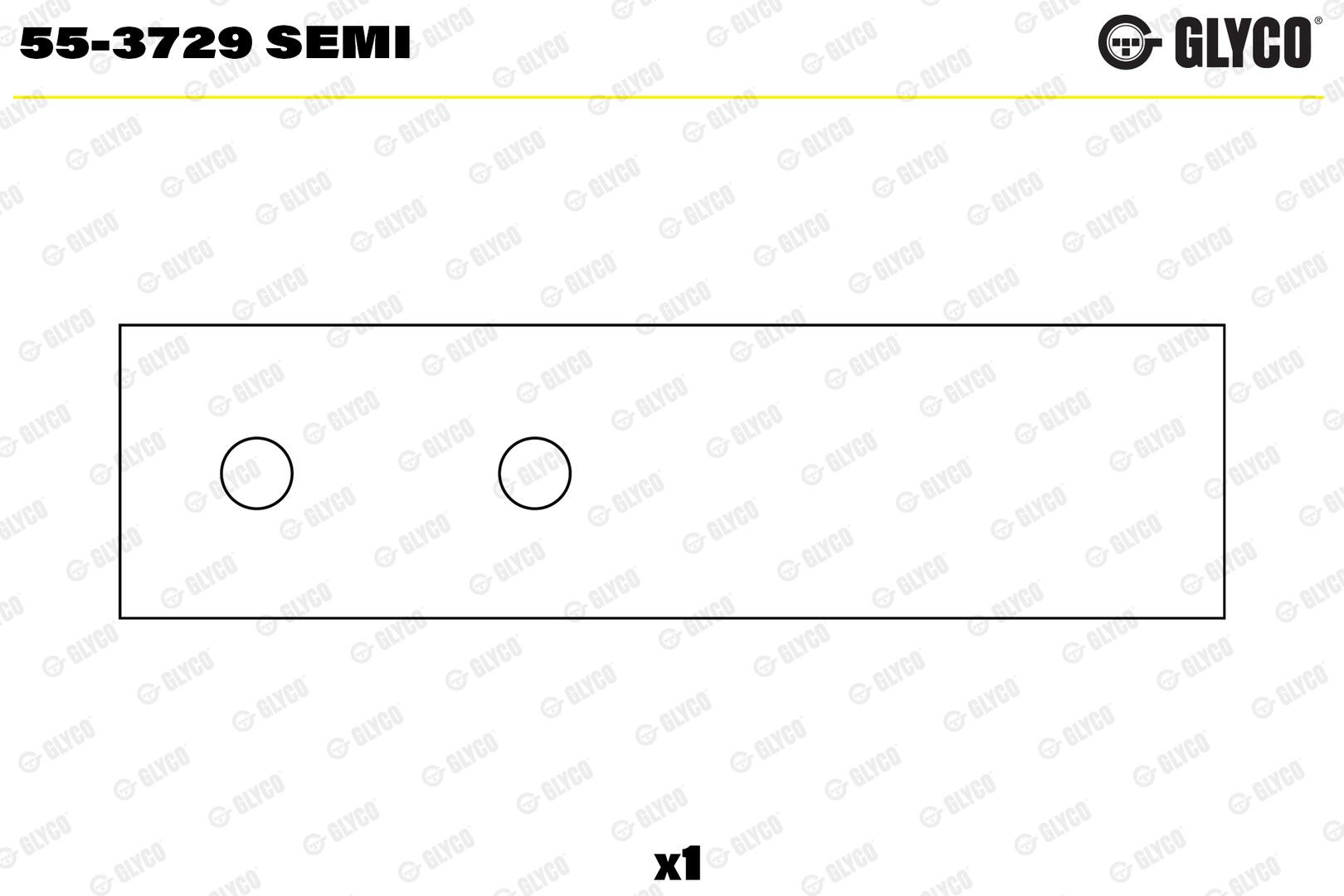Glyco 55-3729 SEMI
