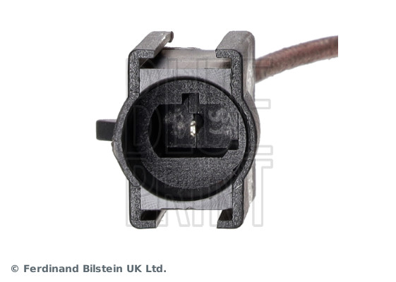 Blue Print ADL144213