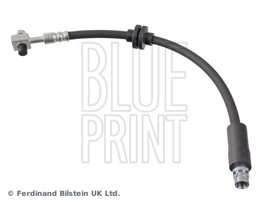 Blue Print ADG053278