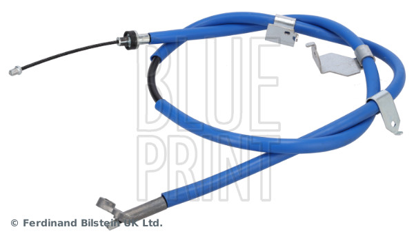 Blue Print ADN146348