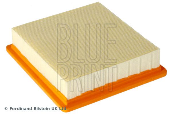 Blue Print ADG022130