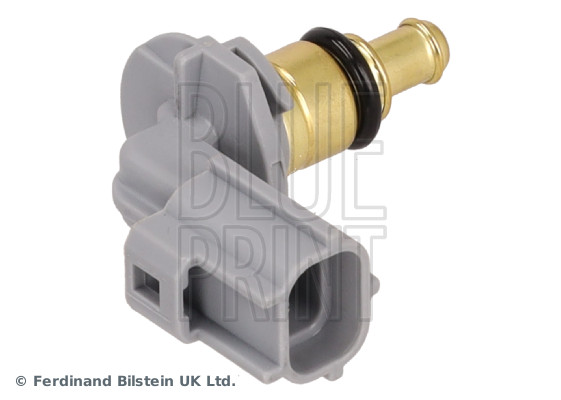 Blue Print ADJ137233