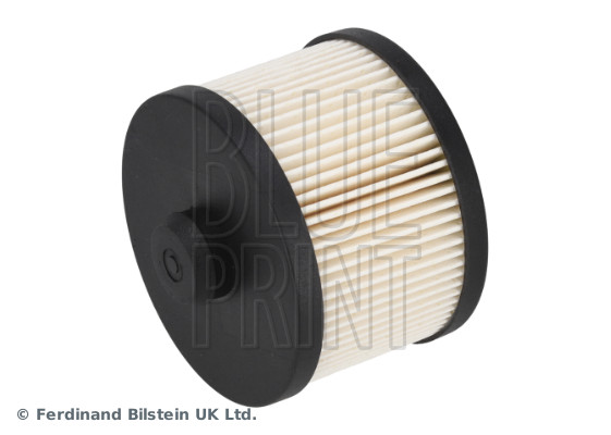 Blue Print ADBP230006