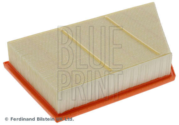 Blue Print ADBP220151