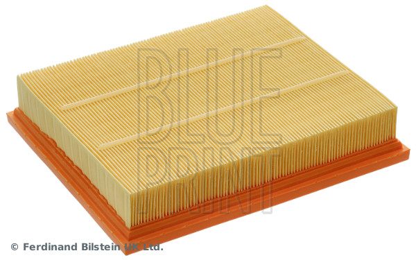 Blue Print ADBP220178