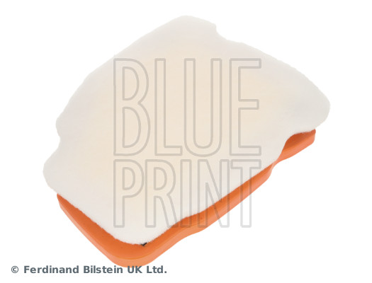 Blue Print ADBP220187