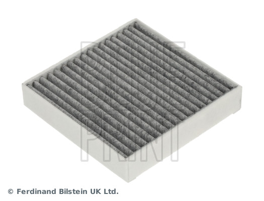 Blue Print ADBP250130