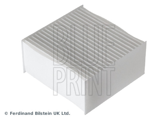 Blue Print ADBP250132