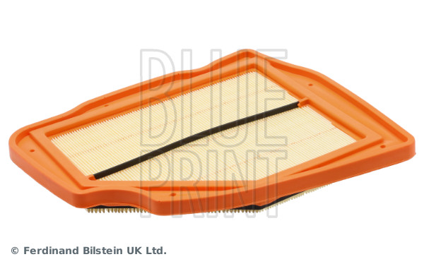 Blue Print ADBP220185