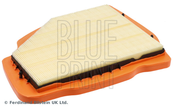 Blue Print ADBP220185