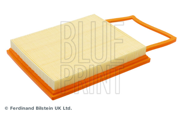 Blue Print ADBP220204