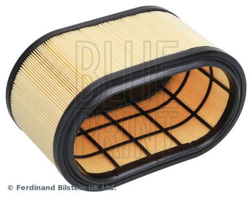 Blue Print ADBP220207