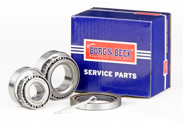Borg & Beck BWK689
