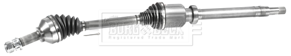 Borg & Beck BDS1001