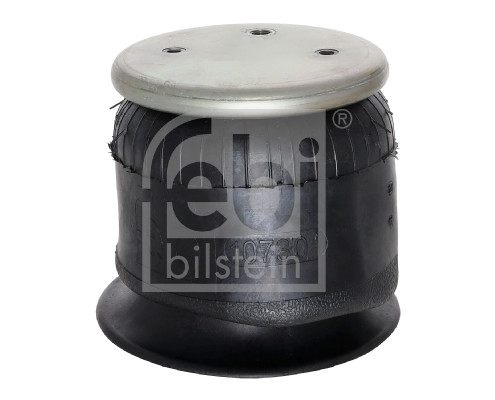 Febi 107301