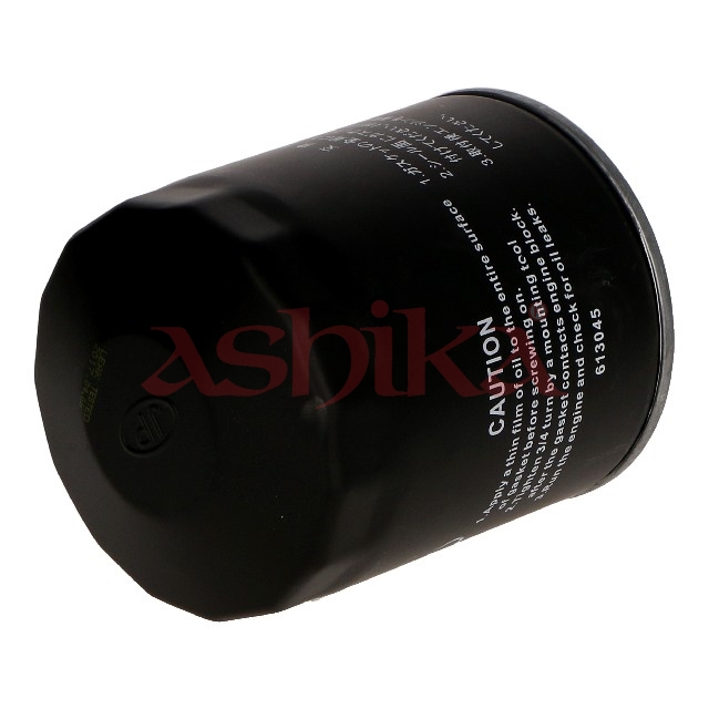 Ashika 10-K0-005