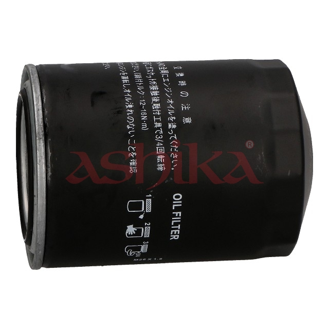 Ashika 10-K0-006