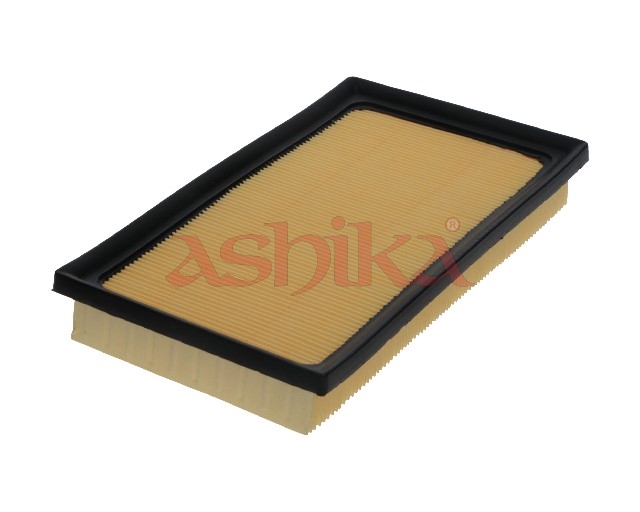 Ashika 20-02-2017 Air Filter