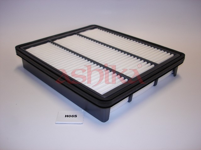Ashika 20-H0-006 Air Filter