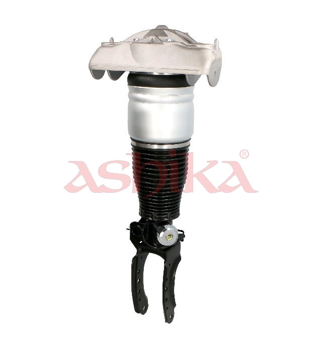 Ashika MA-AS013