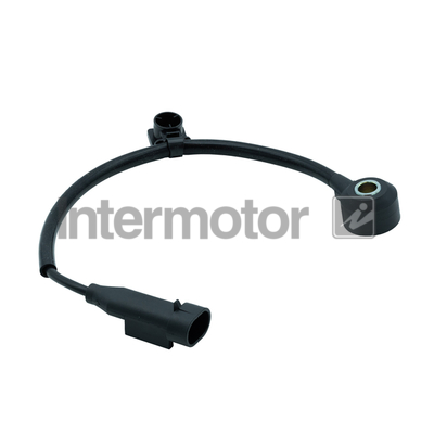 Intermotor 70068