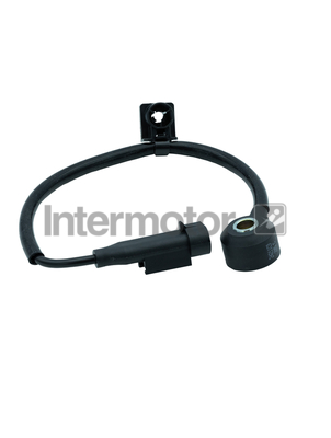Intermotor 70068