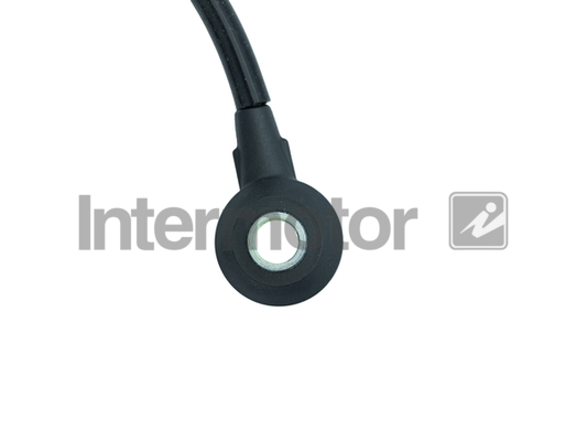 Intermotor 70068