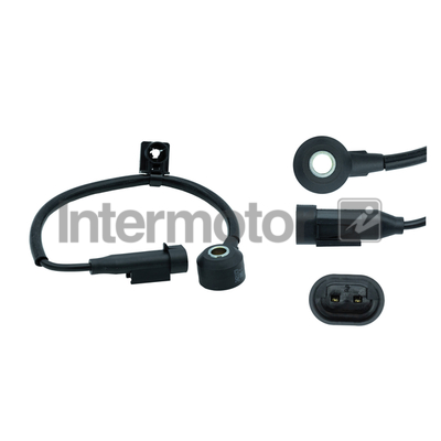 Intermotor 70068