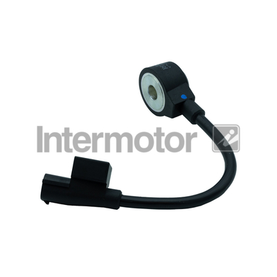 Intermotor 70078