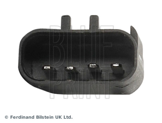 Blue Print ADBP230086