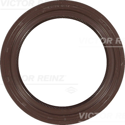 Victor Reinz 81-17404-50