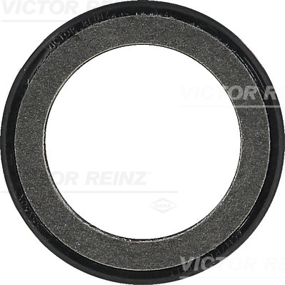 Victor Reinz 81-34316-00