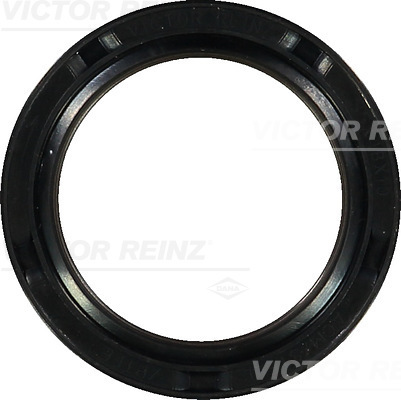 Victor Reinz 81-34366-00
