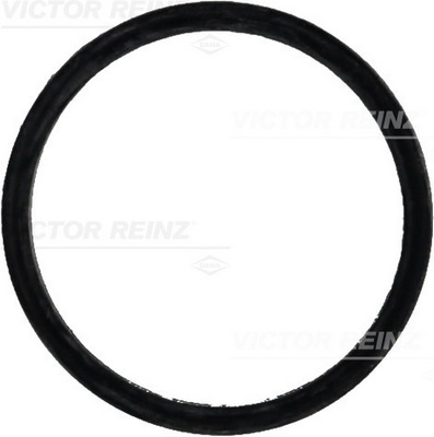 Reinz 71-31647-00 Inlet Manifold Gasket
