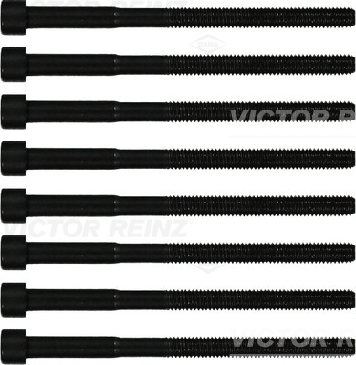 Victor Reinz 14-12060-01