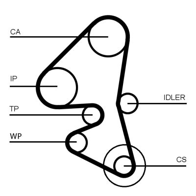 Contitech CT1162