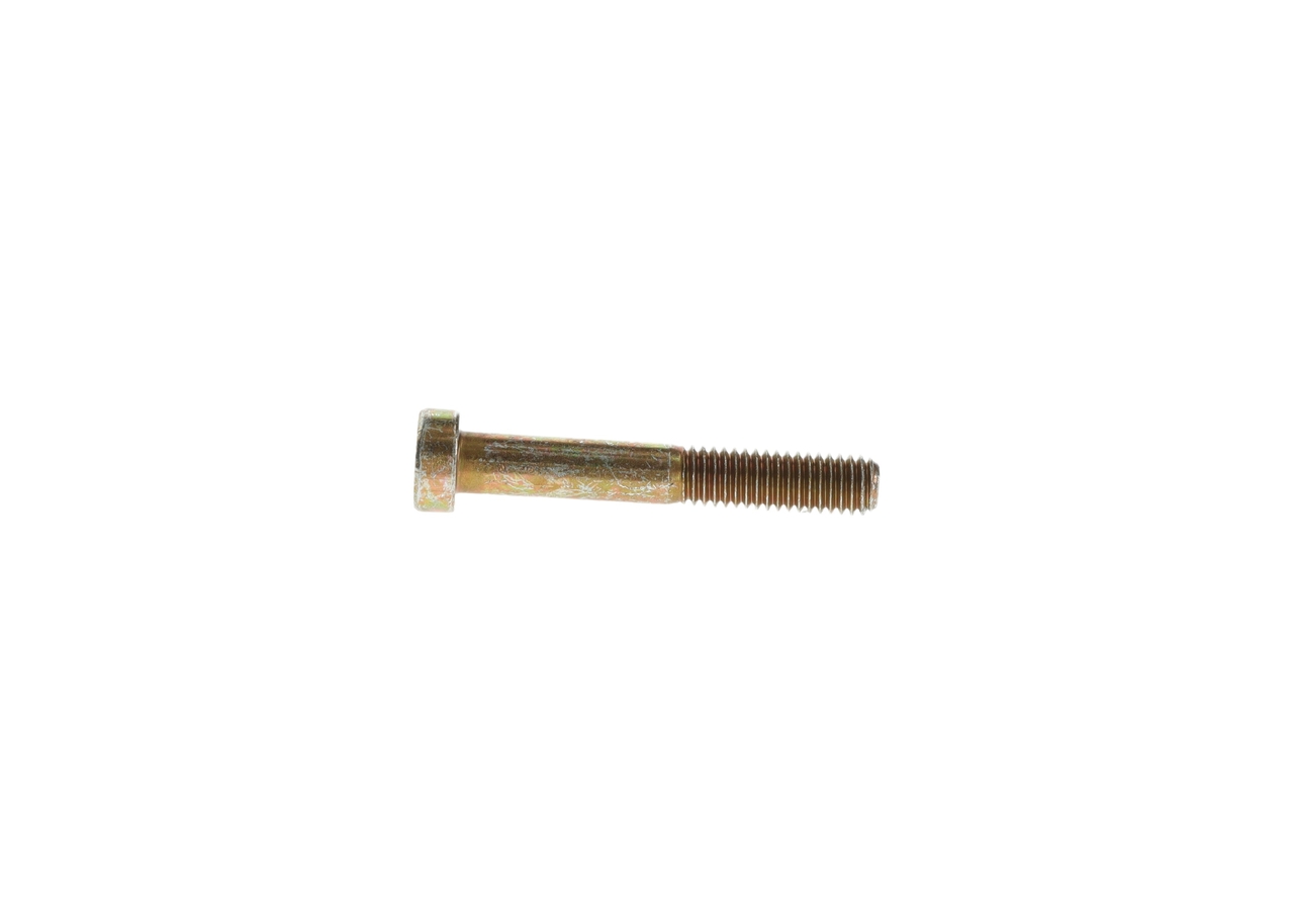 Bosch 2912742209 Screw (Pack Of 5) (Hgv)