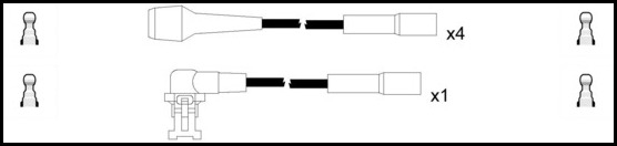 17950031