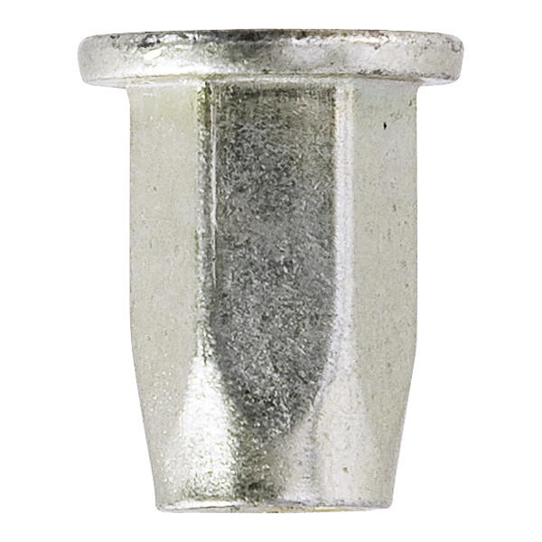 Workshop Warehouse NST40 THREADED INSERTS - CYLINDRICAL HEAD FULL HEX