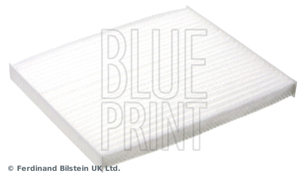 Blue Print ADG02551