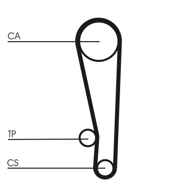 Contitech CT1013