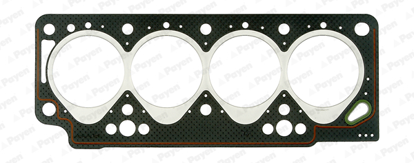 Payen AD5050