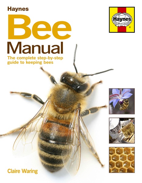 Haynes H5057 Bee Manual