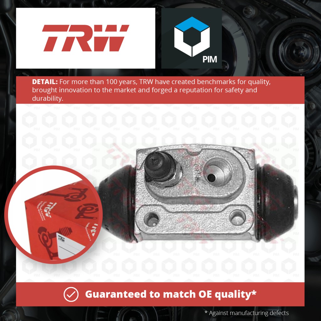TRW BWD287 Main Brake Cylinder & Repair Parts 